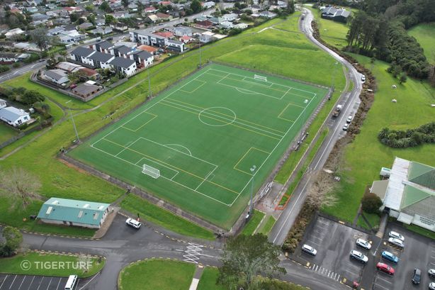 TigerTurf-NZ-Parrs-Park.JPG