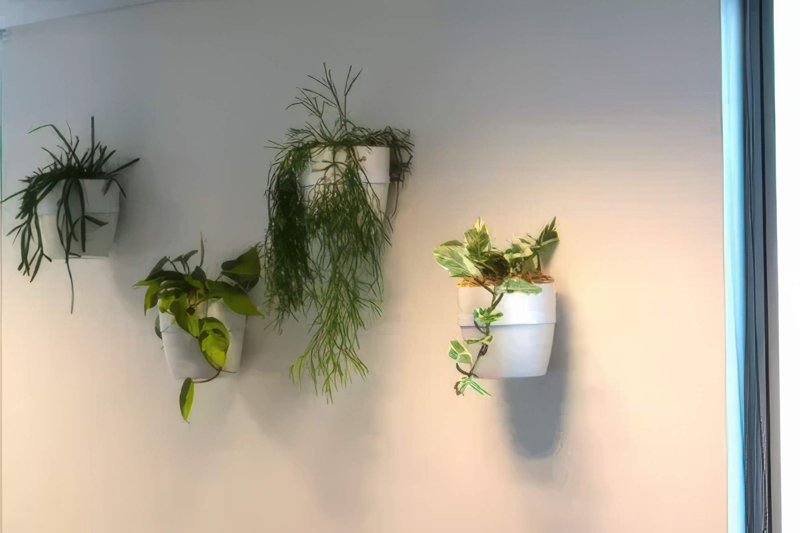 VWB1-ITR1-ITR2-Vertical-wall-bracket-installation-with-assorted-trailing-plants-in-white-elho-pot-2-2-gigapixel-high-fidelity-v2-2000w.jpeg
