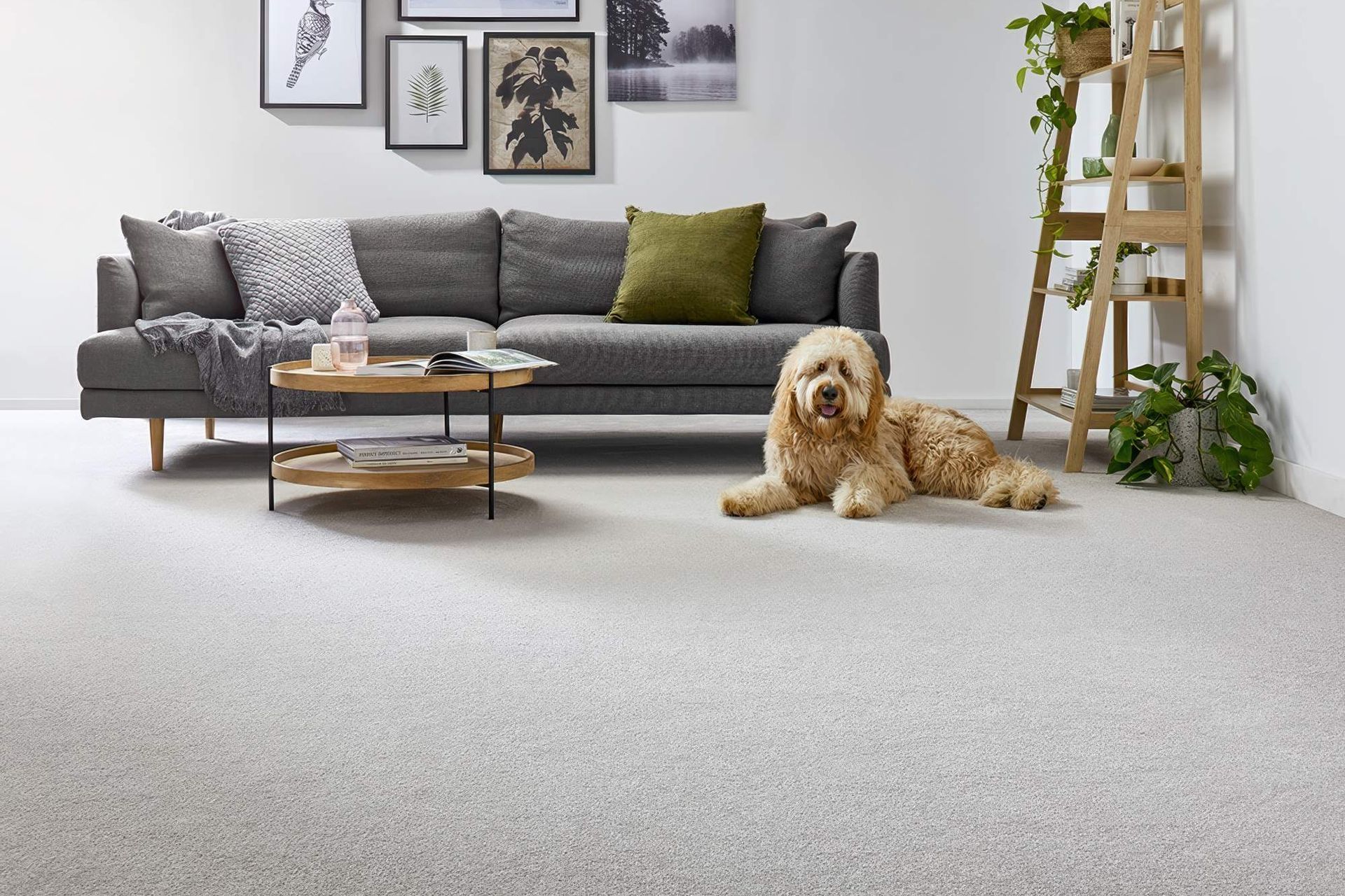 Redbook green – Scenic Walk in colour Bright Day