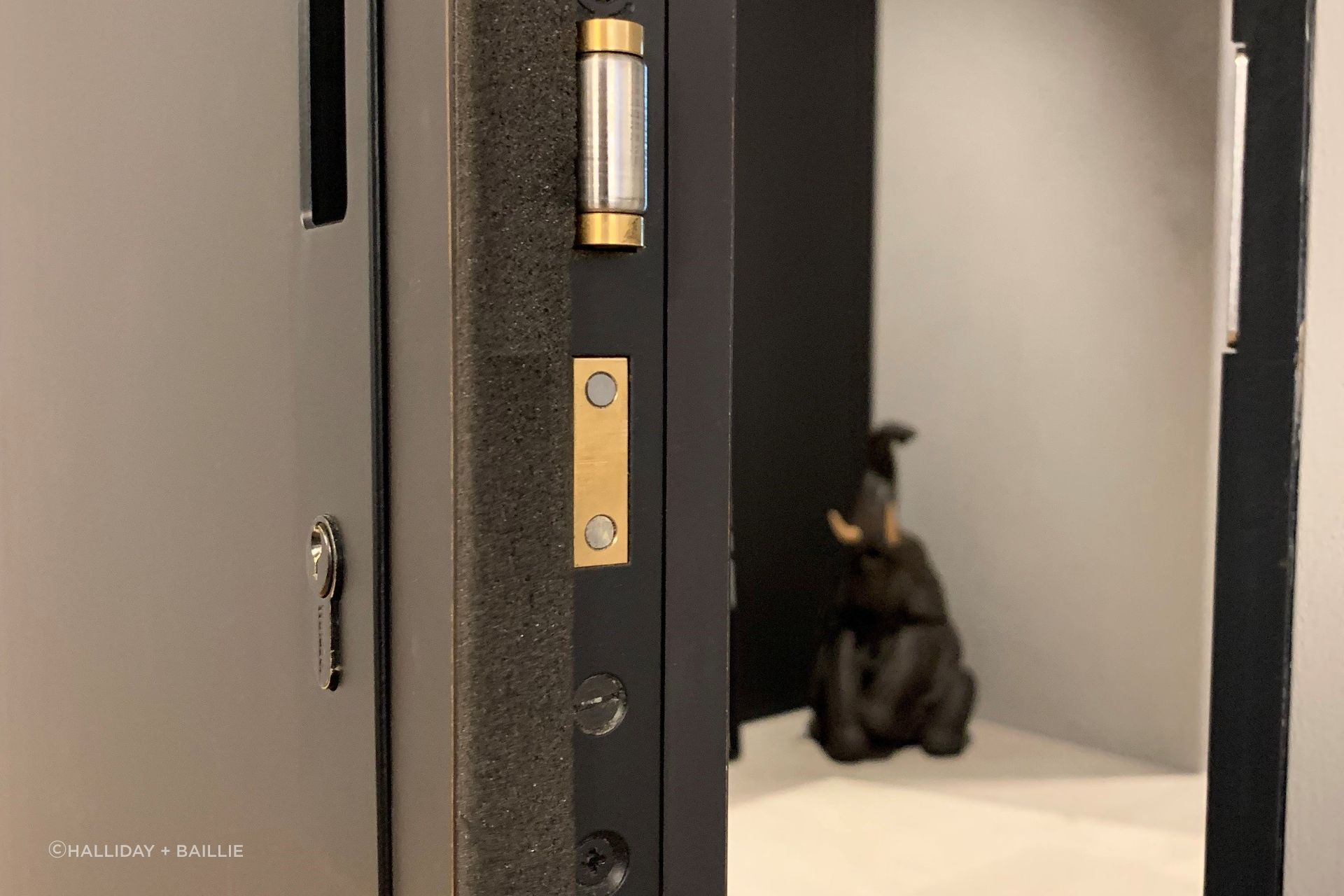 Euro cylinder locks are well suited to properties that multiple people have access to
