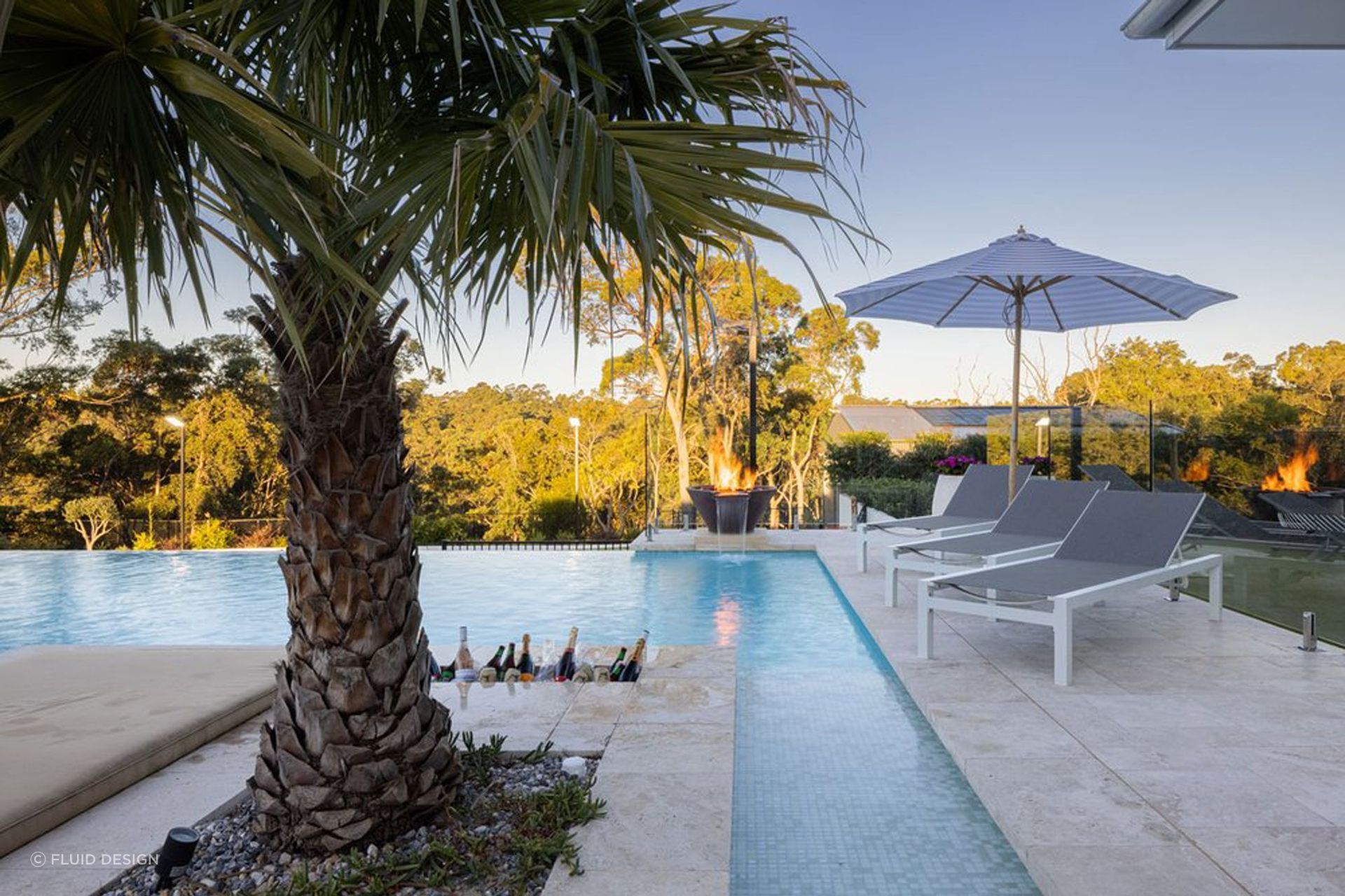 A fine palm tree on full display. Featured project: Kenthurst Acreage - Fluid Design