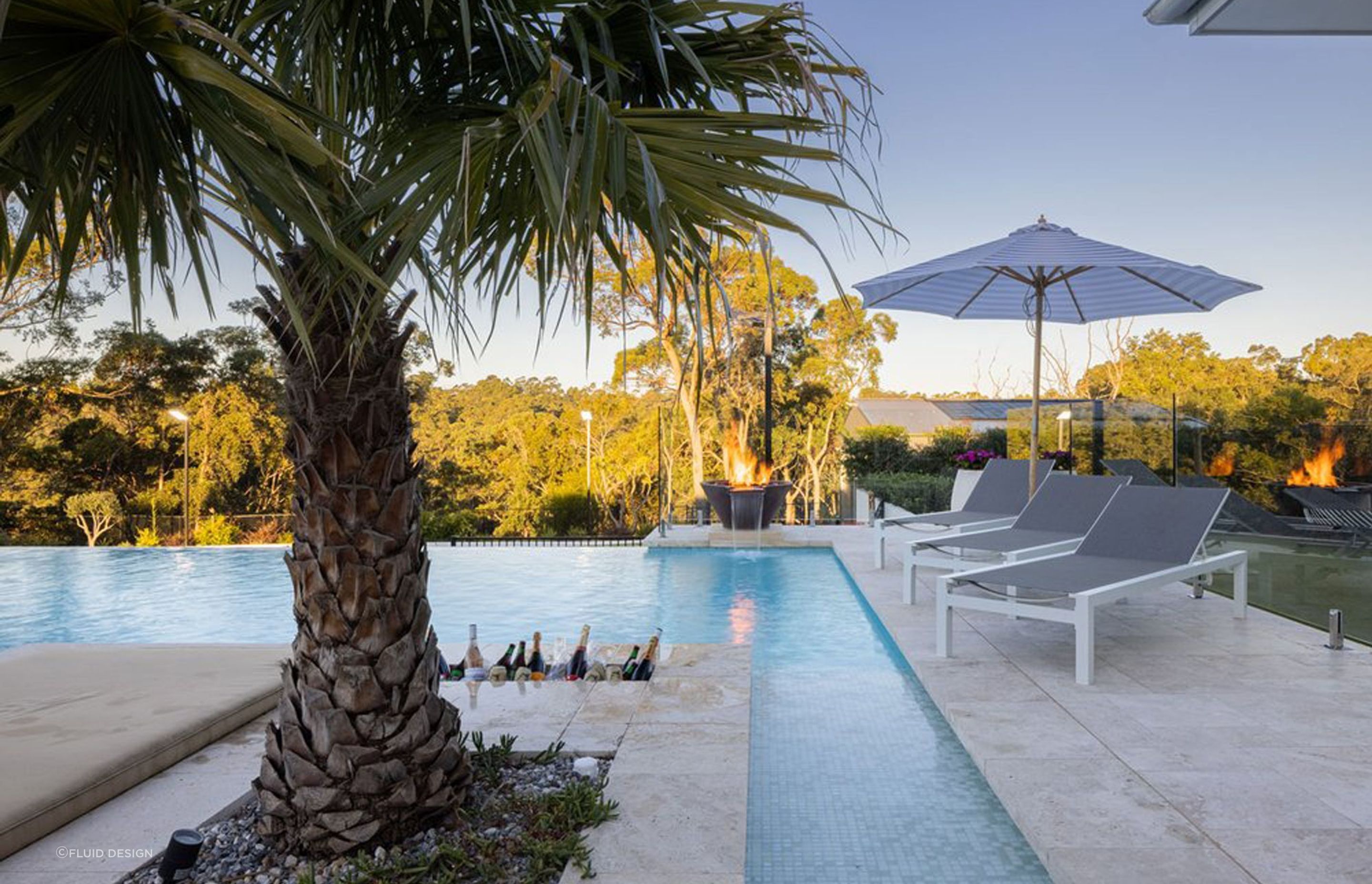 A fine palm tree on full display. Featured project: Kenthurst Acreage - Fluid Design
