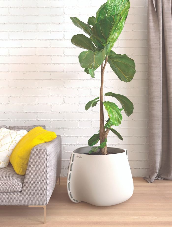 Concrete Planters by MAD Design bring style to your alfresco and interior spaces