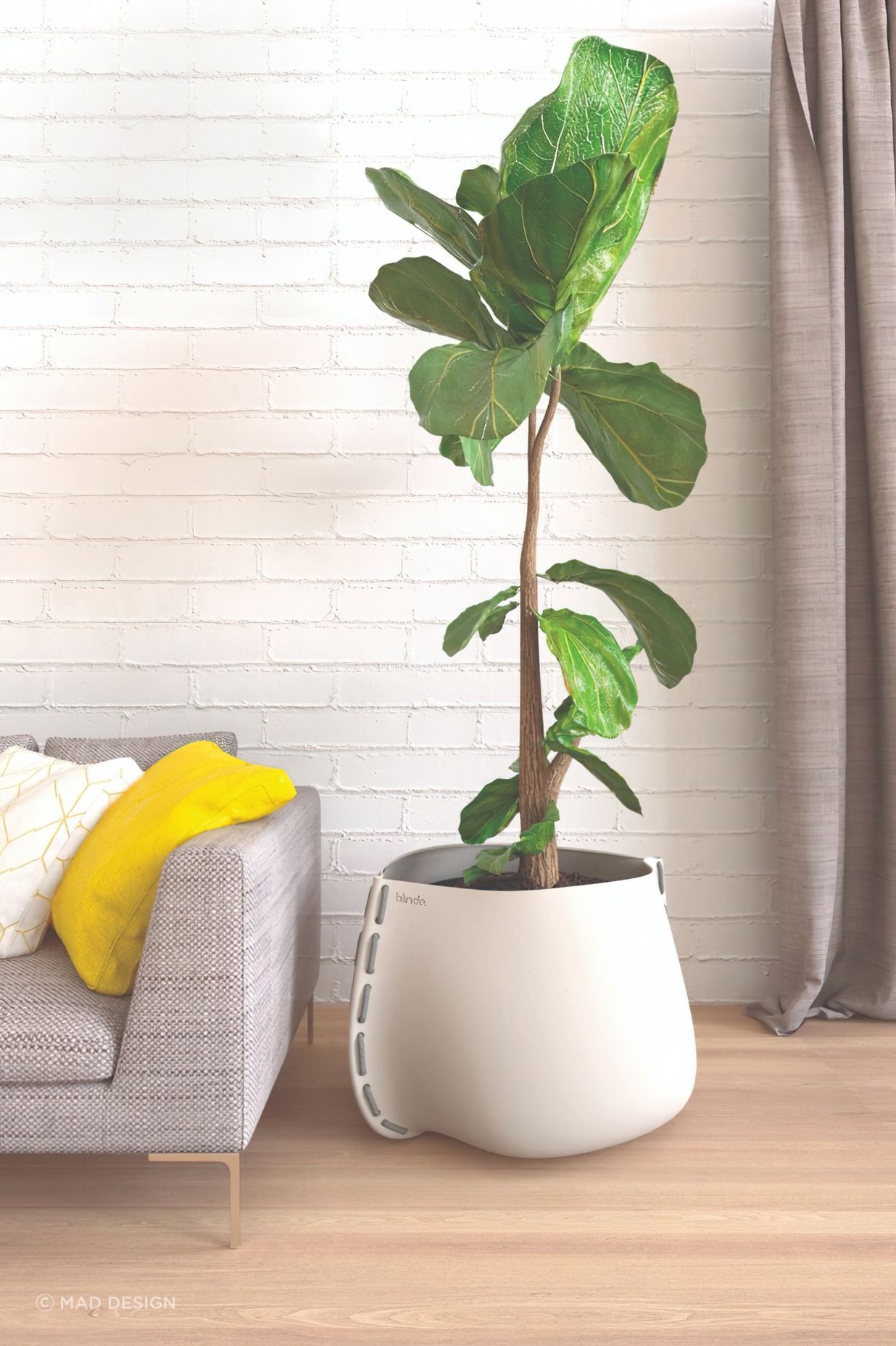 Concrete Planters by MAD Design bring style to your alfresco and interior spaces