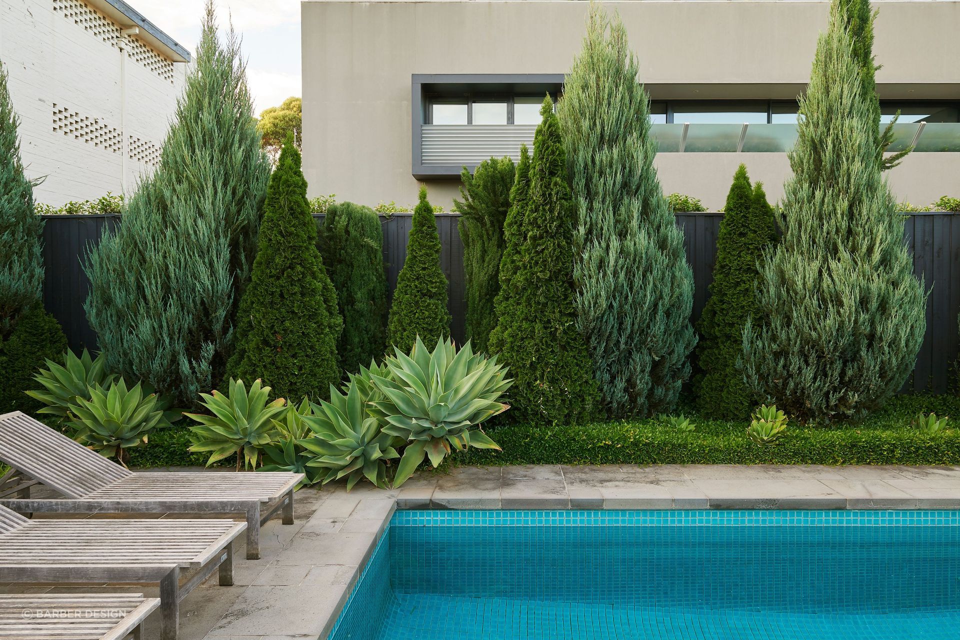 This pool's landscaping features an eclectic mix of agave plants, shrubby and columnar evergreens. Featured project: Toorak - Barber Design