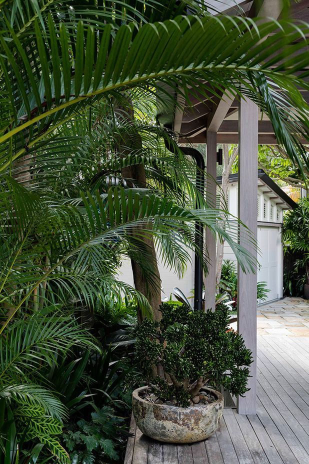 Plant pots of all sizes and textures can be used in a front garden