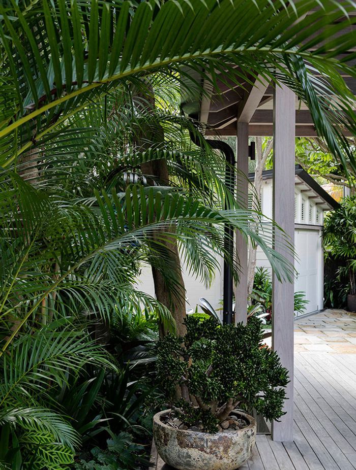 Plant pots of all sizes and textures can be used in a front garden