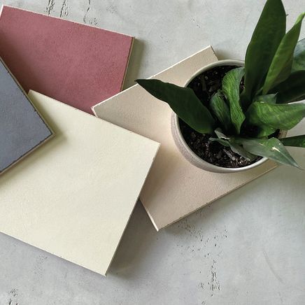 Lime and loam: How interior walls can tackle humidity