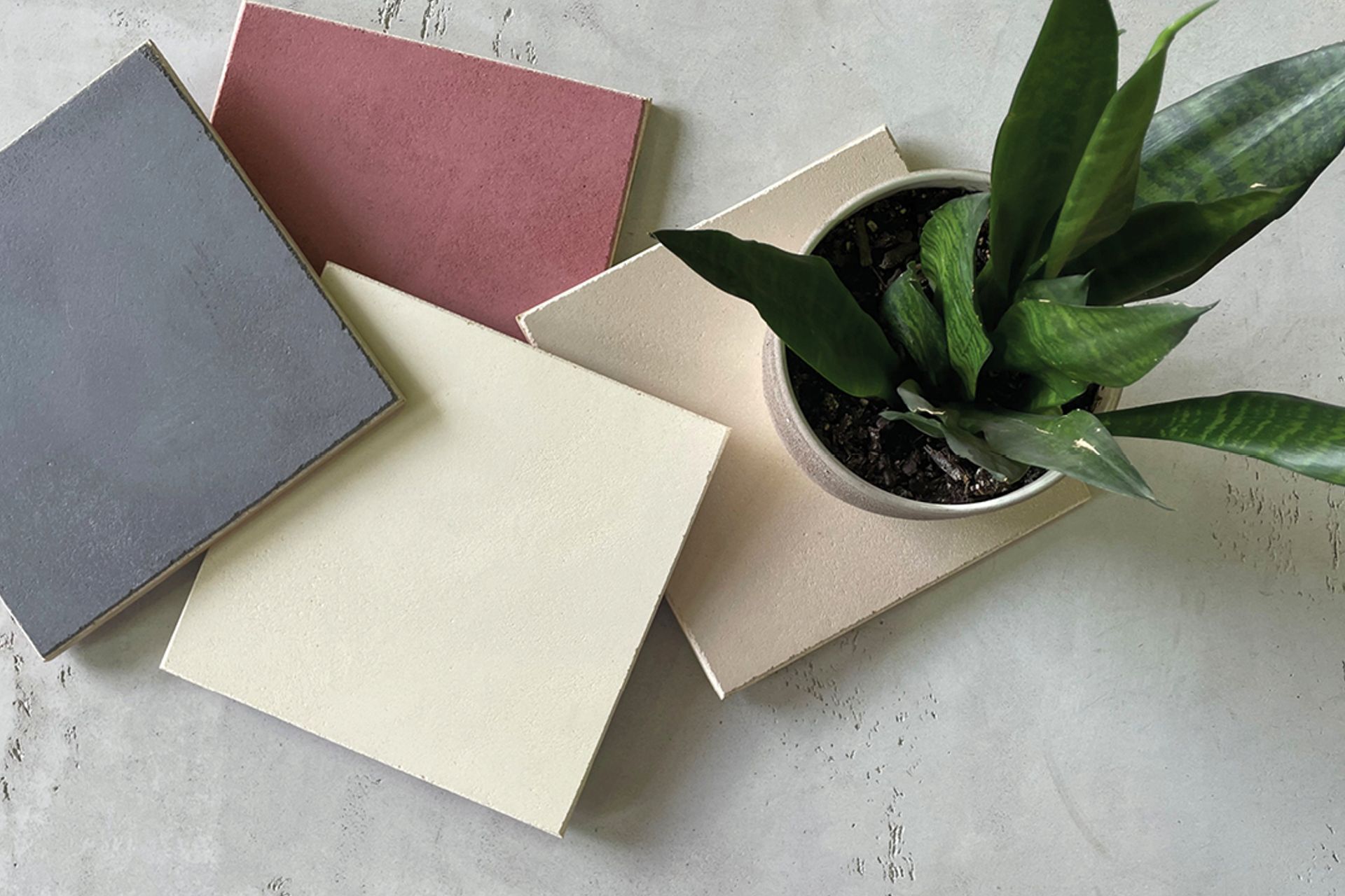 StoCalce Functio is simultaneously a stylish option for interior walls and a humidity control tool.