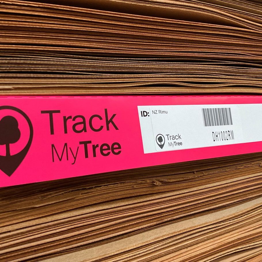 Sustainable New Zealand native veneers