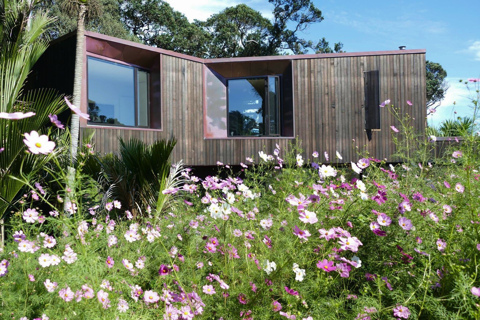 Flowers were planted in this Muriwai garden to encourage abundant insect life, and add a pop of colour.