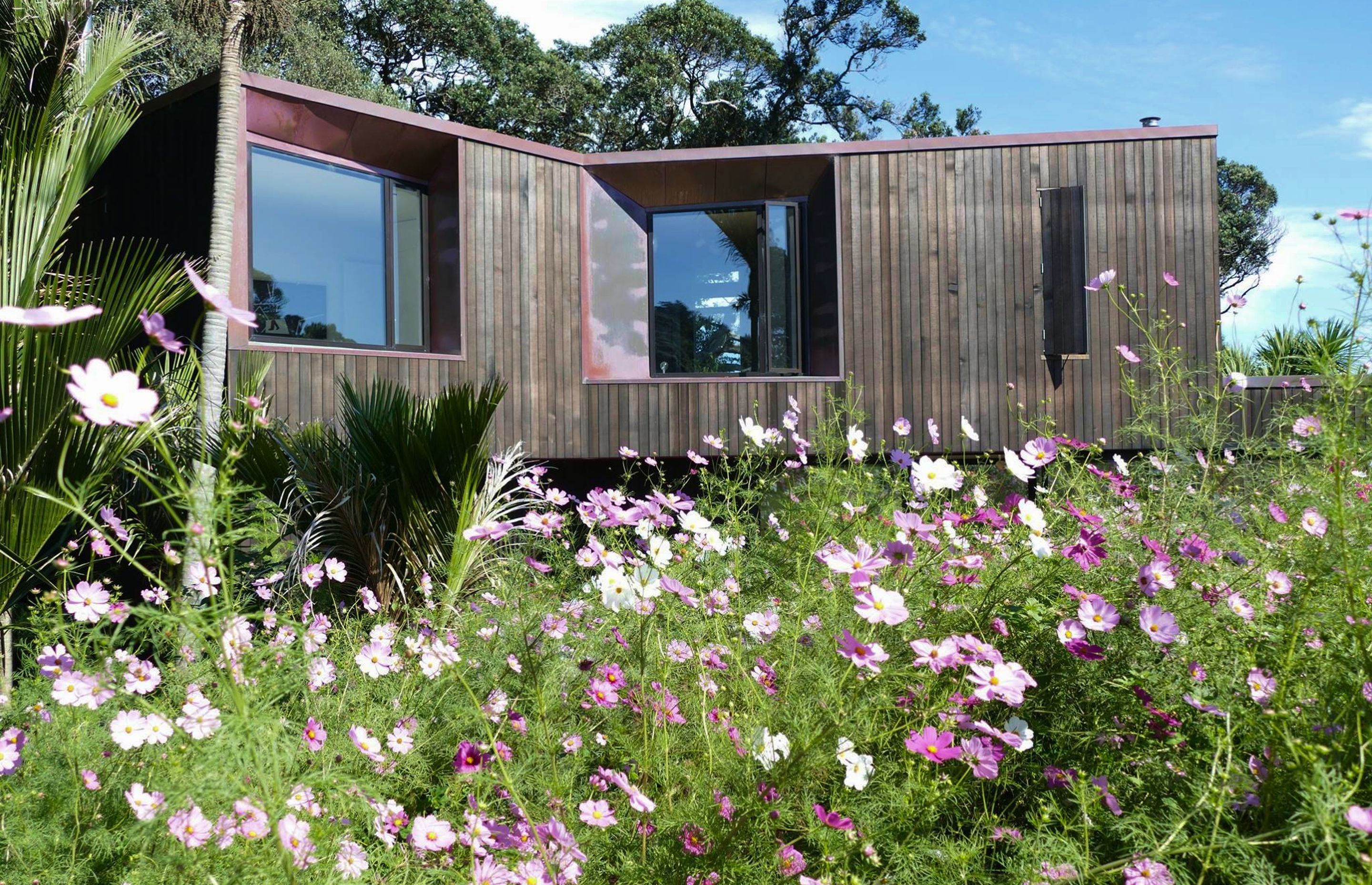 Flowers were planted in this Muriwai garden to encourage abundant insect life, and add a pop of colour.