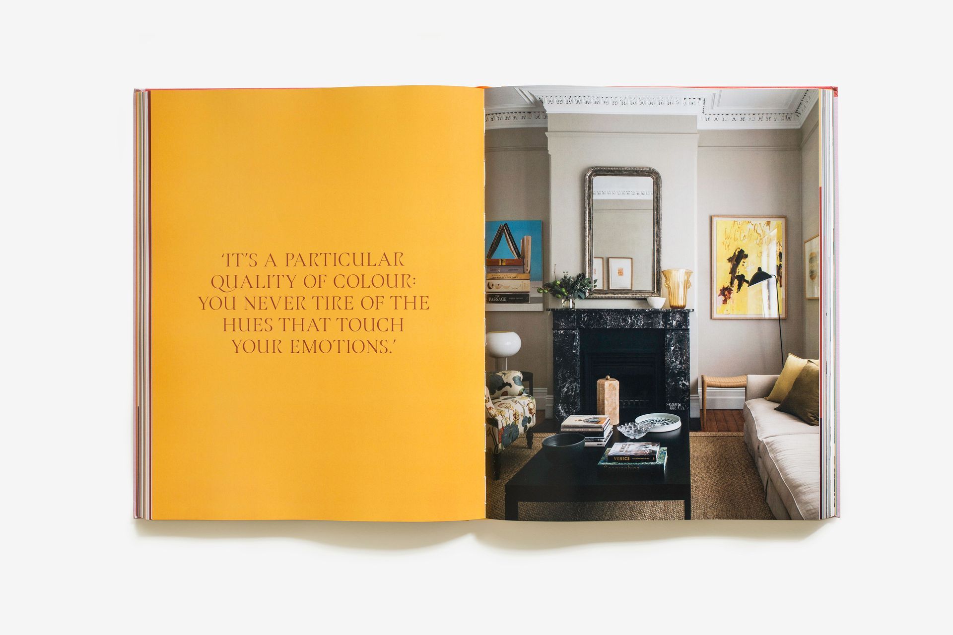 Interiors Beyond The Primary Palette by Juliette Arent, Sarah-Jane Pyke, Thames & Hudson Australia, $80.