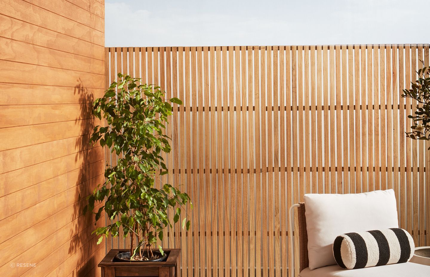 Weatherboards finished in Resene Natural Wood Oil in Resene Egmont. Trellis finished in Resene Natural Wood Oil in Resene Aorangi.