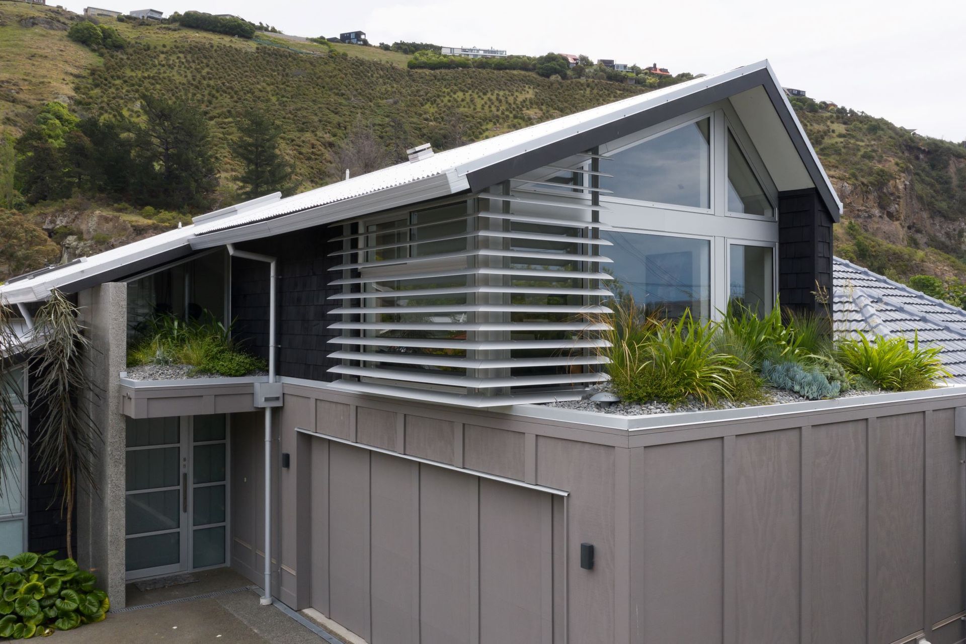 Natural Habitats transformed multiple sections of this Christchurch home's roof with 115 plants spanning across 13 species.