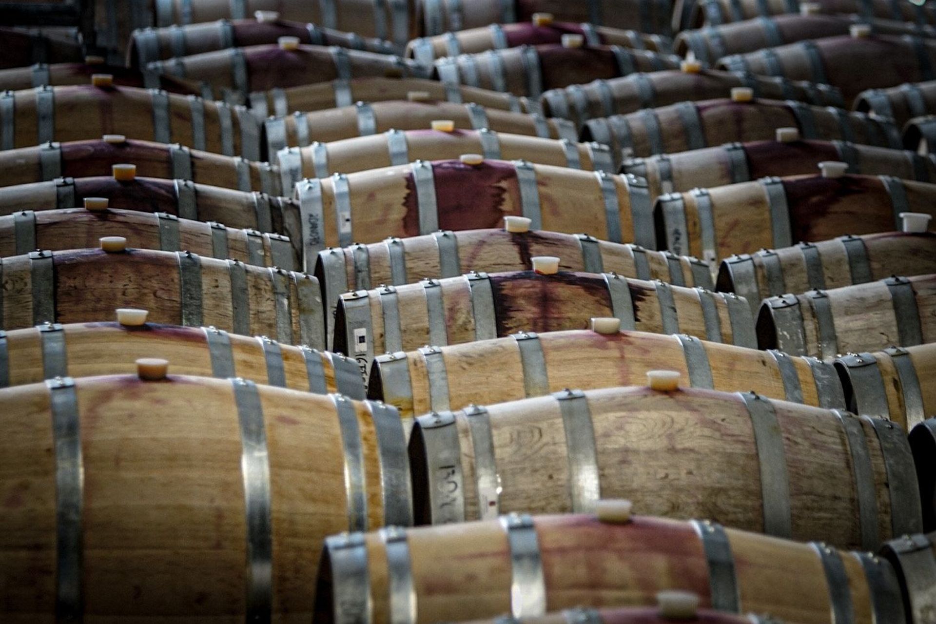 Amisfield keeps its wine stored under strict supervision with well-regulated conditions.