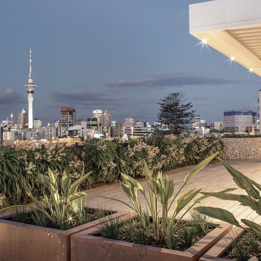 How to add easy-care greenery to the home or office