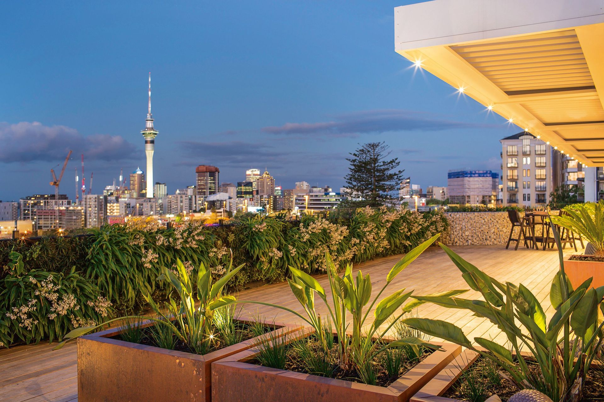 Natural Habitats designed and built a rooftop landscape for this private Auckland apartment. The completed landscape includes a green wall, timber deck, raised gabion planters and a custom water feature.