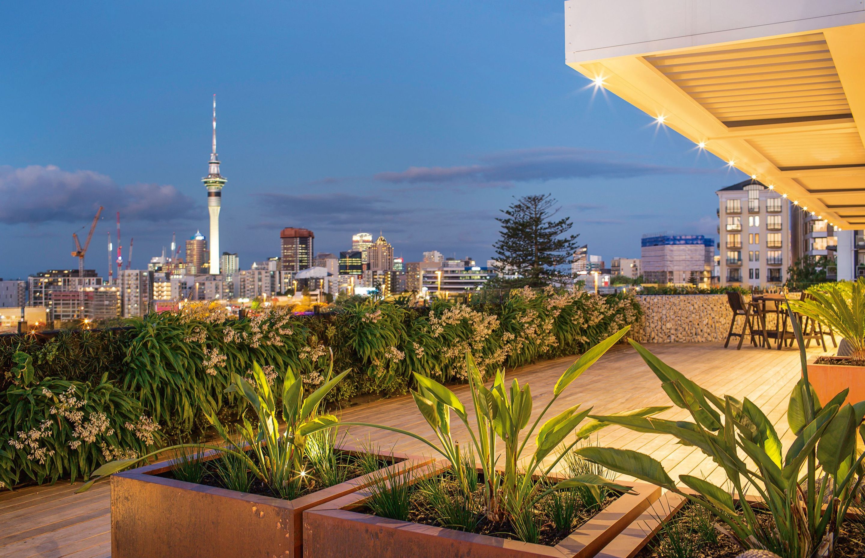 Natural Habitats designed and built a rooftop landscape for this private Auckland apartment. The completed landscape includes a green wall, timber deck, raised gabion planters and a custom water feature.