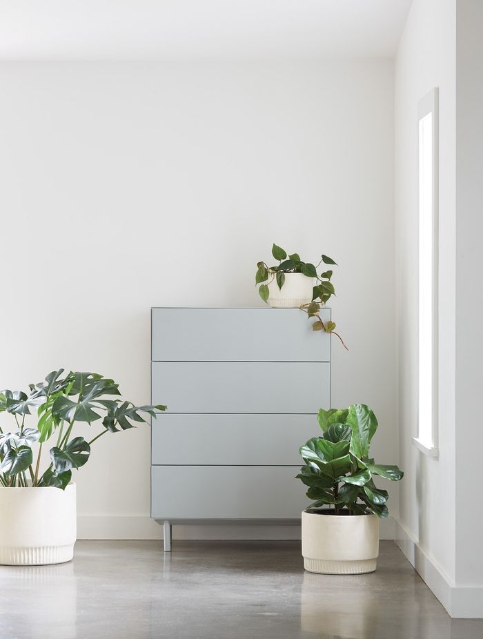 Plants can add interest and life to a space that is otherwise pared back | Harvest Planter from Città