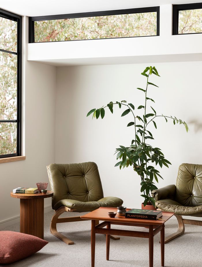 Haymes Paint Colour Library Vol.16: Energy Shifts 'Carefully Nurtured' palette