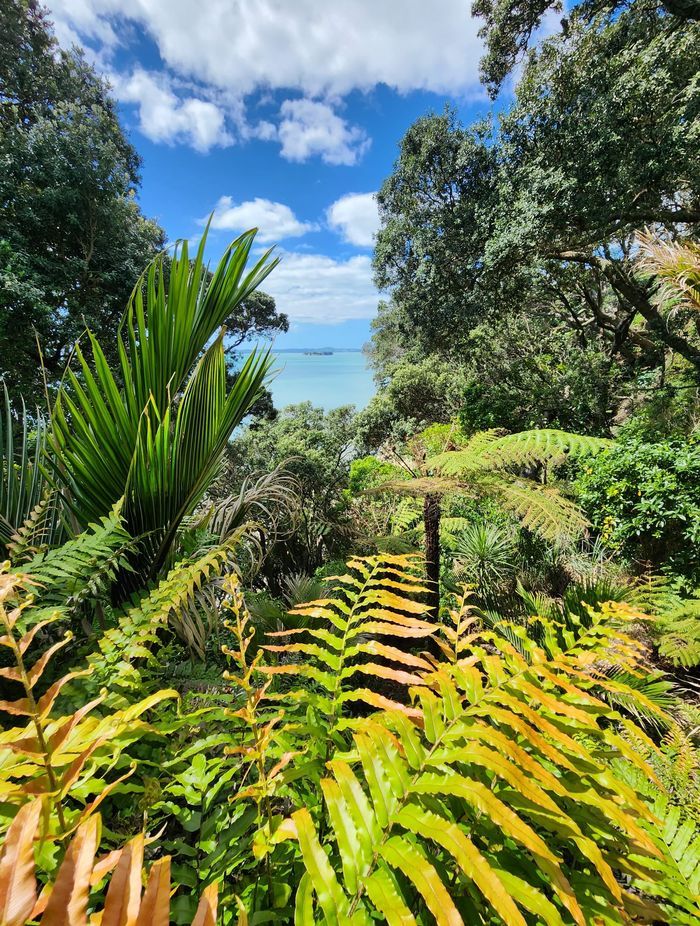 Native plants frame the ocean view.