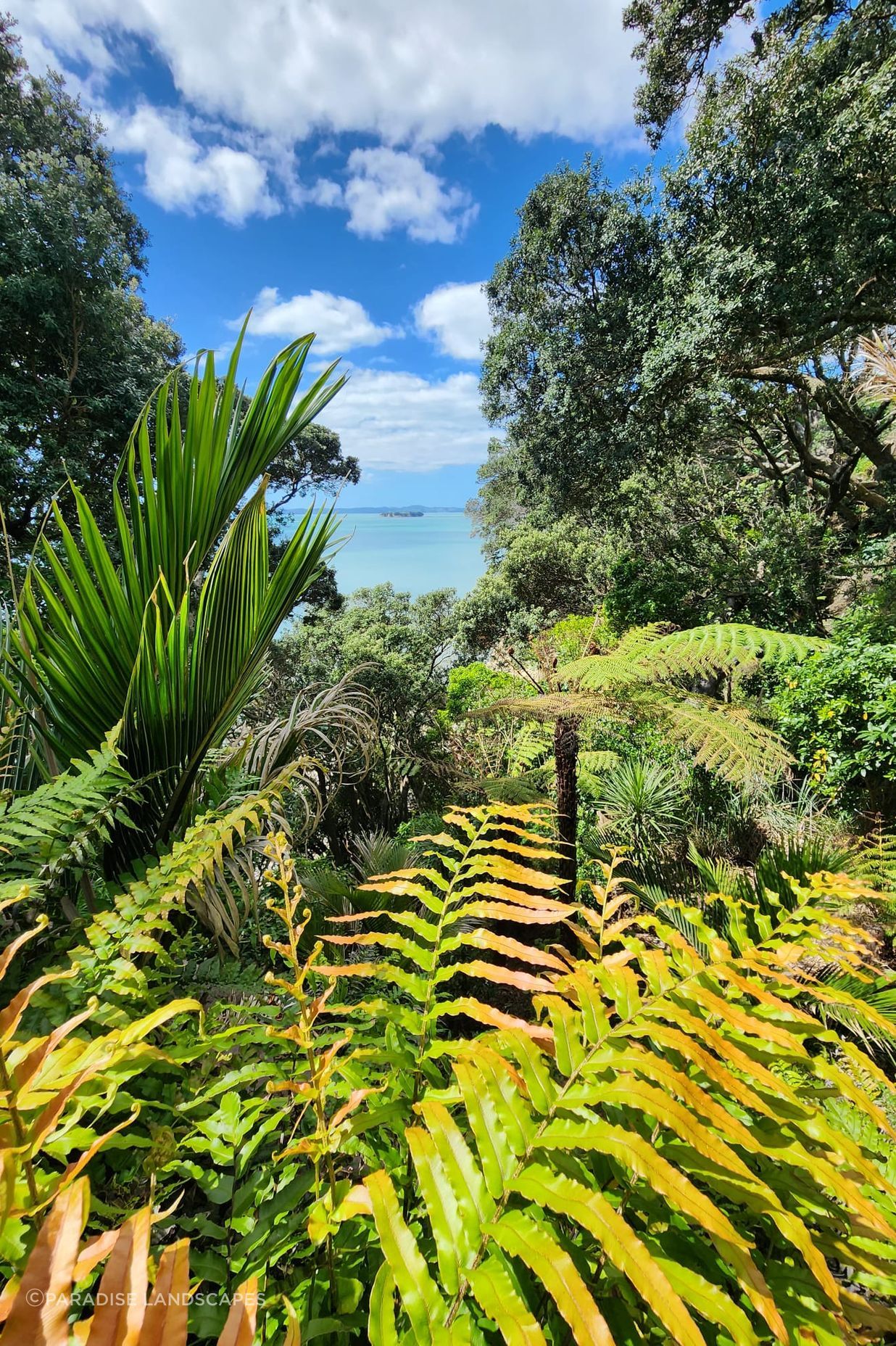 Native plants frame the ocean view.