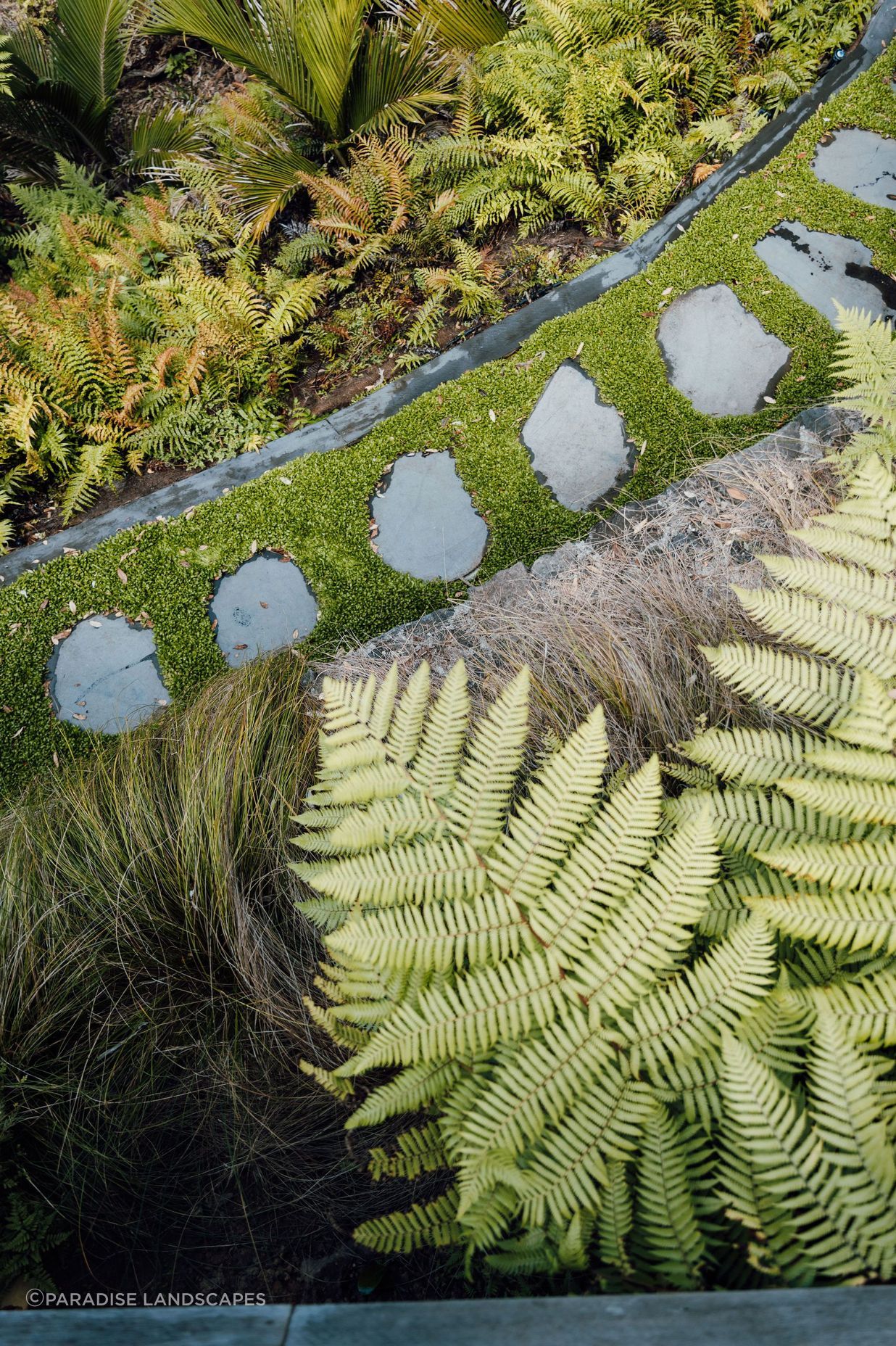 The flat pavers bordered by selleria ground cover add a whimsical element to the garden.