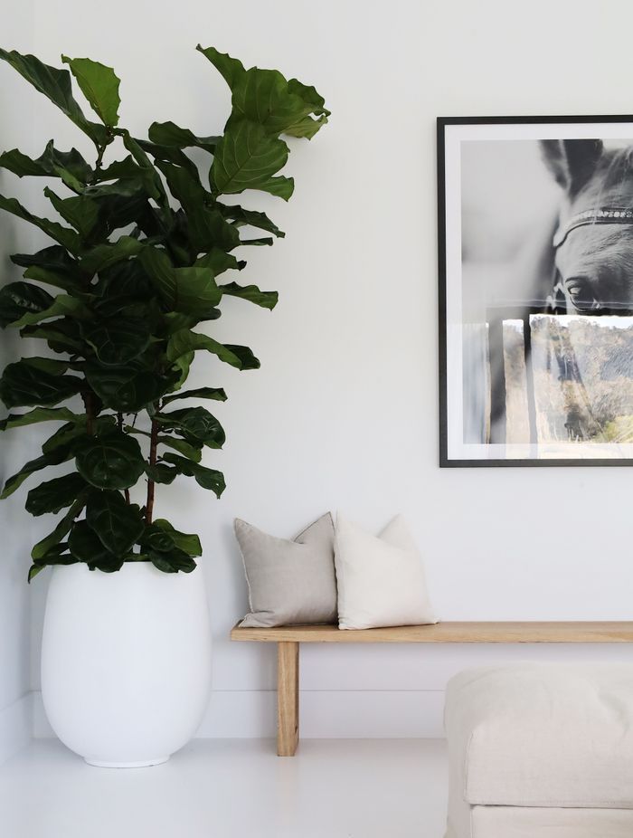 Photography courtesy of BOWERBIRD Interiors