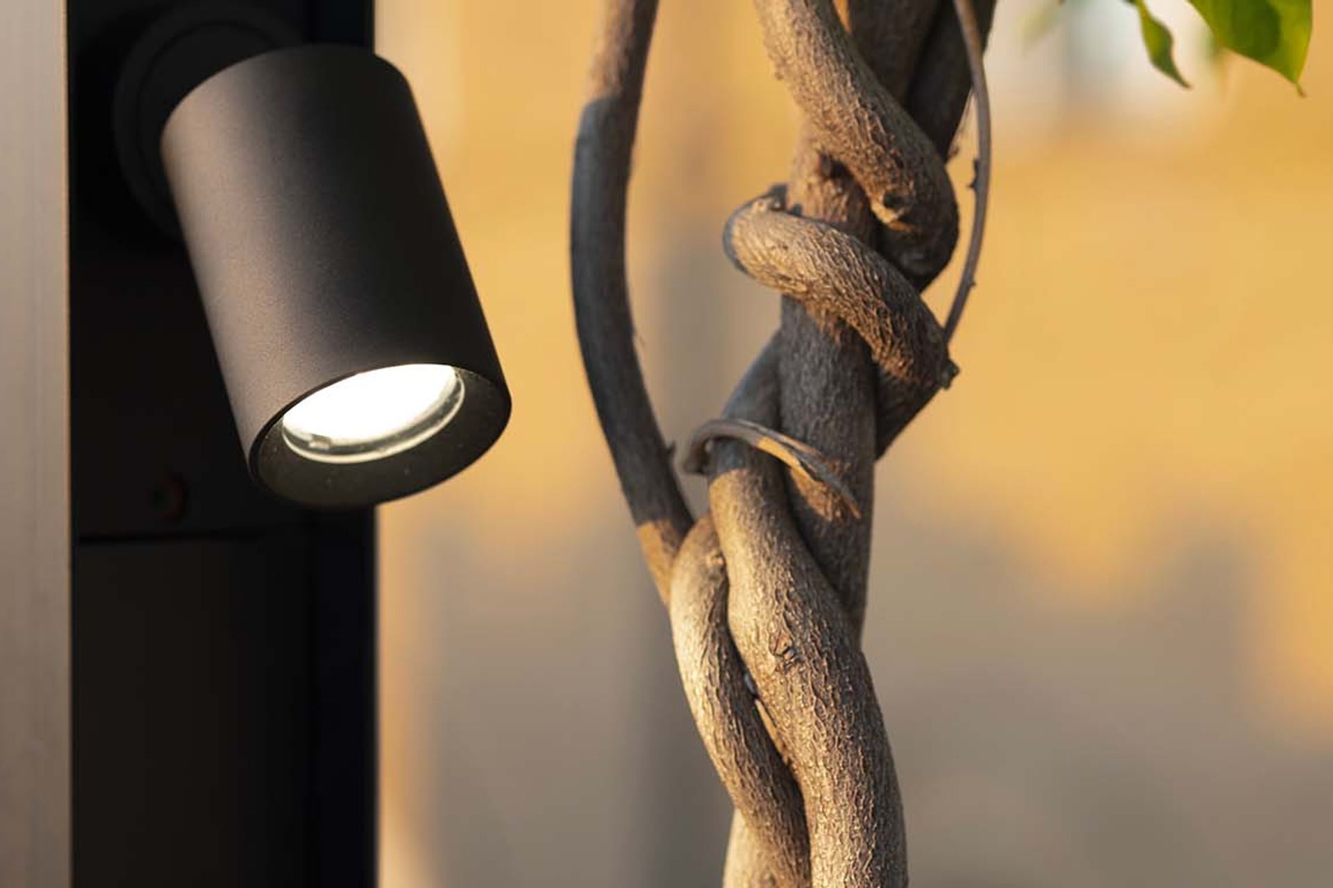 The system's versatility makes it ideal for any outdoor space.