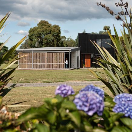 Exploring New Zealand's diverse house styles, inside and out