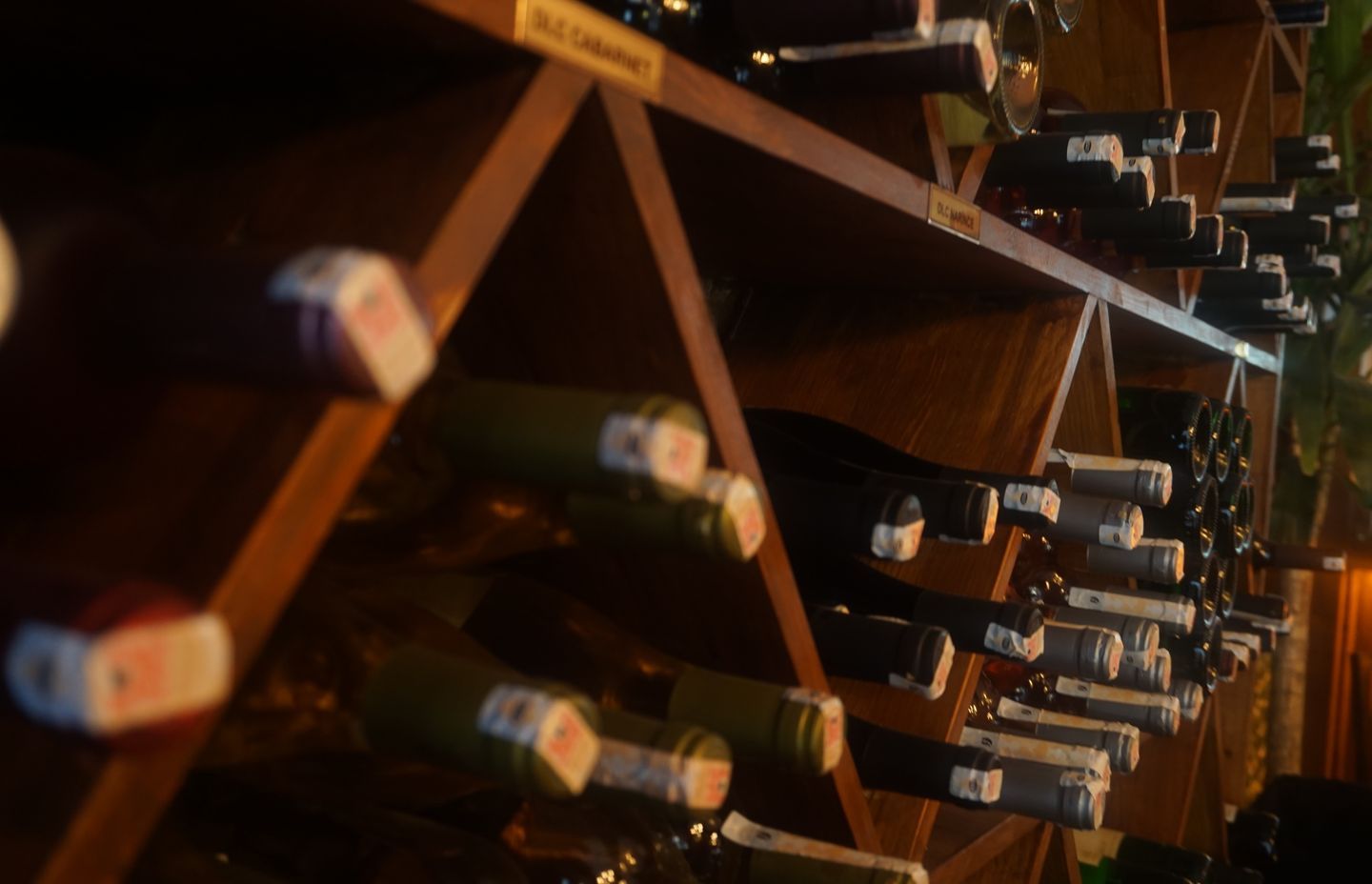 The comprehensive guide to home wine cellars