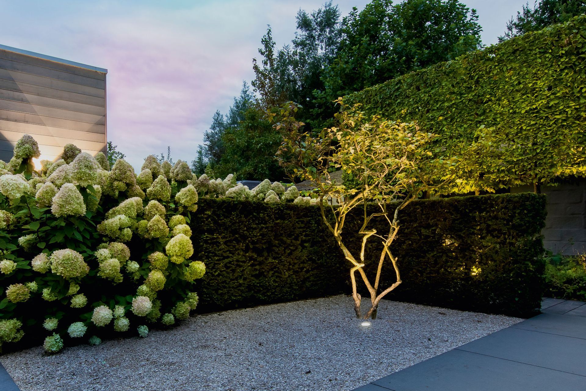 Make the trees in your backyard stand out with uplighting.