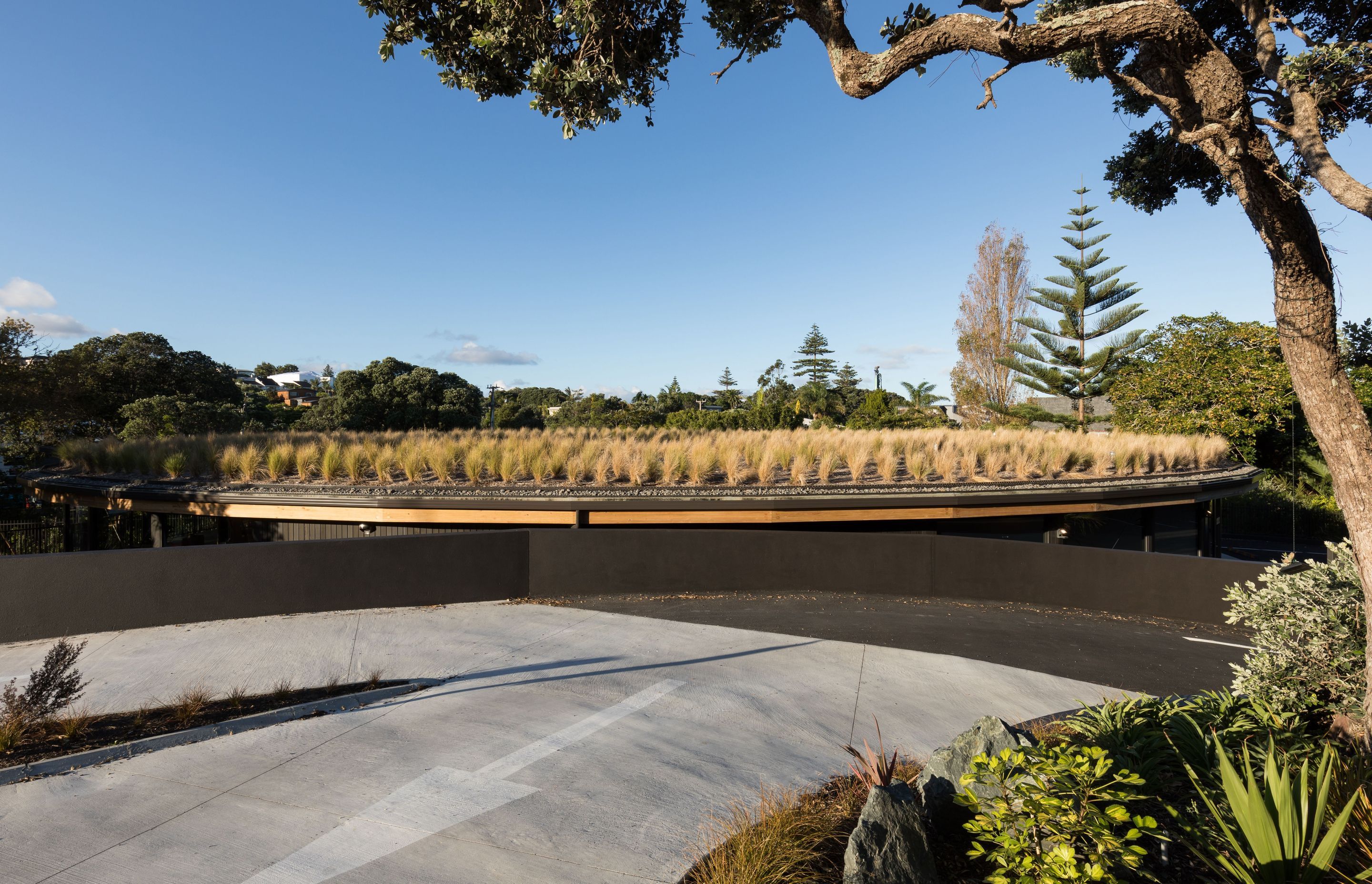 The view upon arrival, overlooking the green roof. | Photographer: Mark Scowen