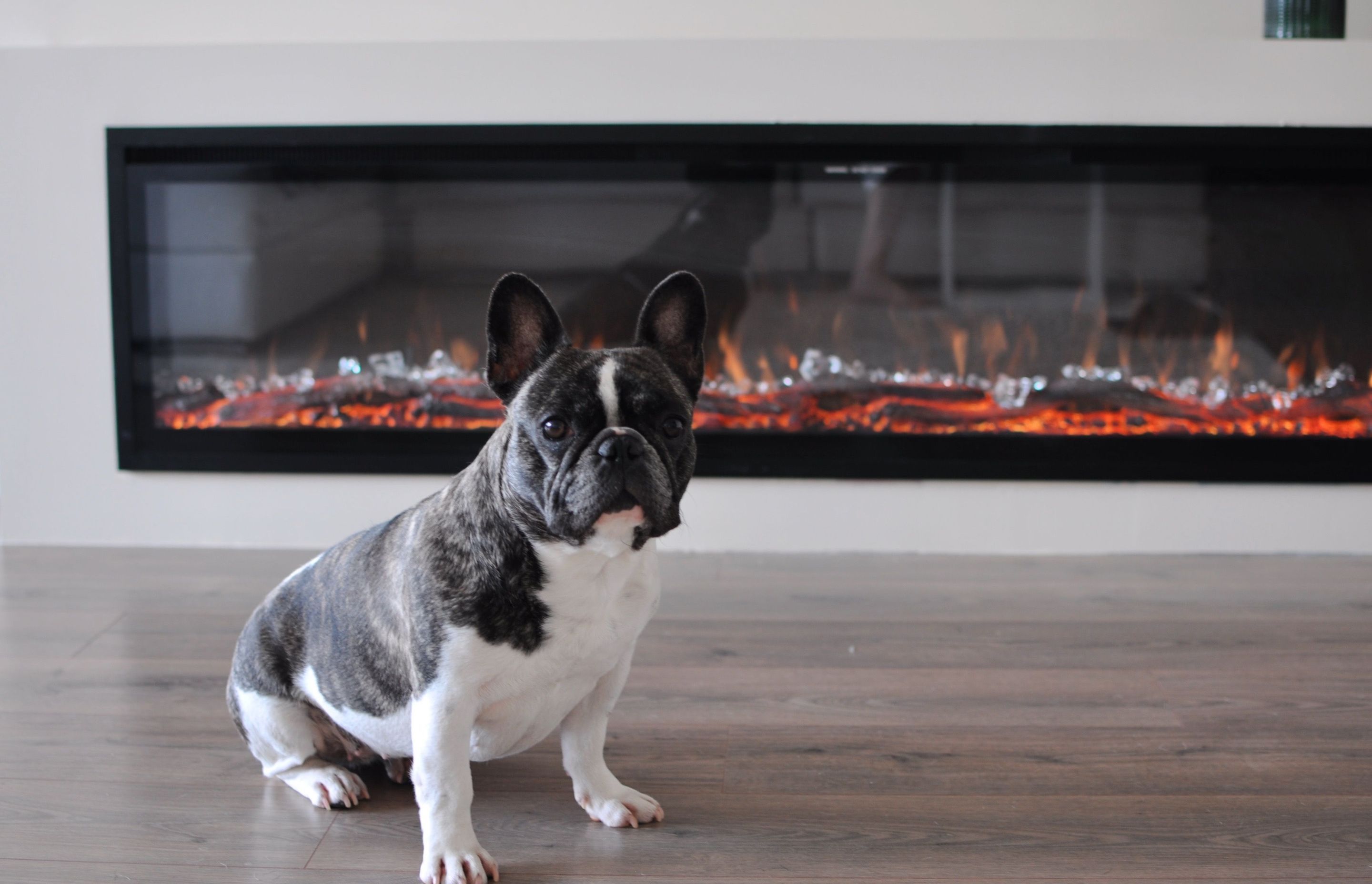 Designing a fireplace using Studco steel studs