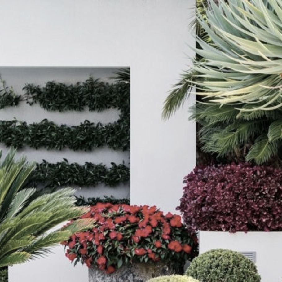 Four expert landscaping tips from Scott Humphreys