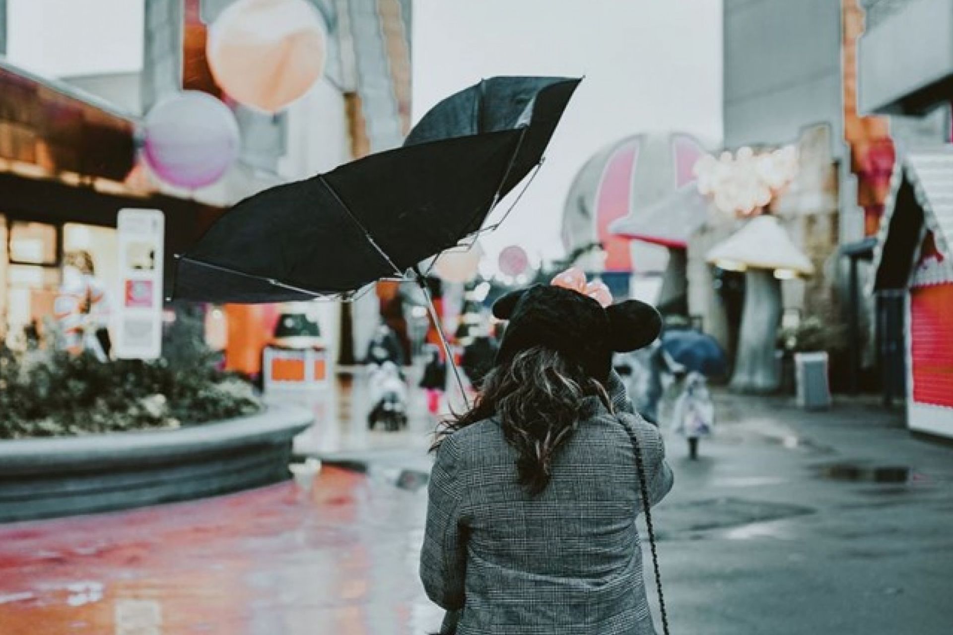 How to Build For New Zealand Wind Zones