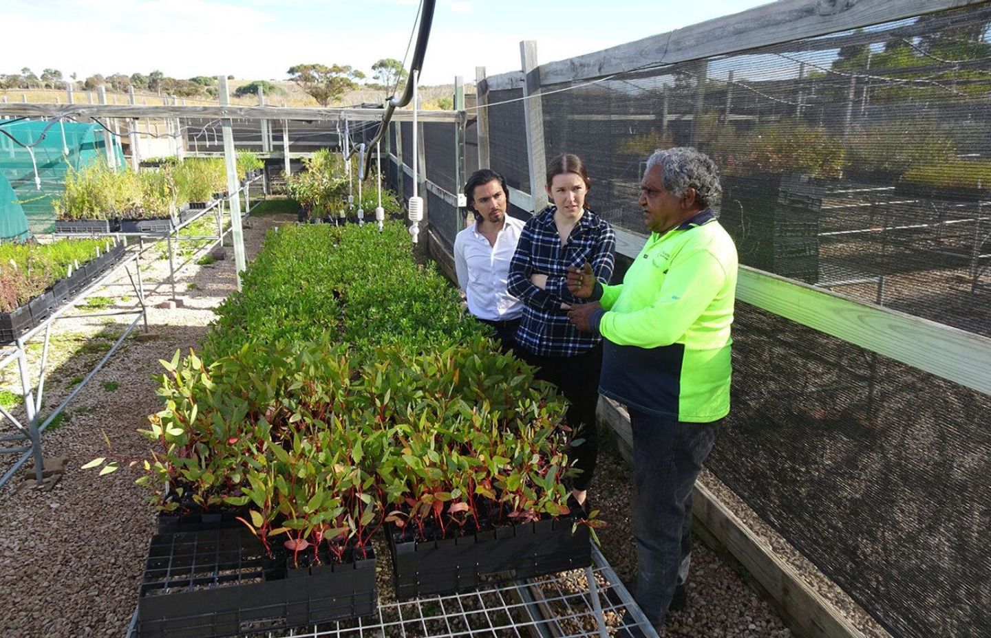Project Mount Sandy in South Australia