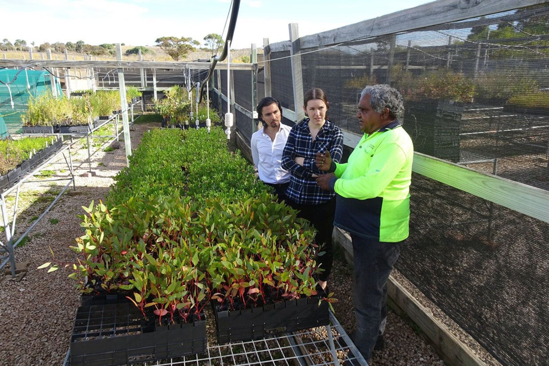 Project Mount Sandy in South Australia