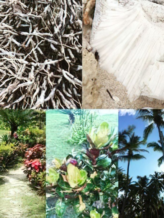 Inspirations for coastal living.