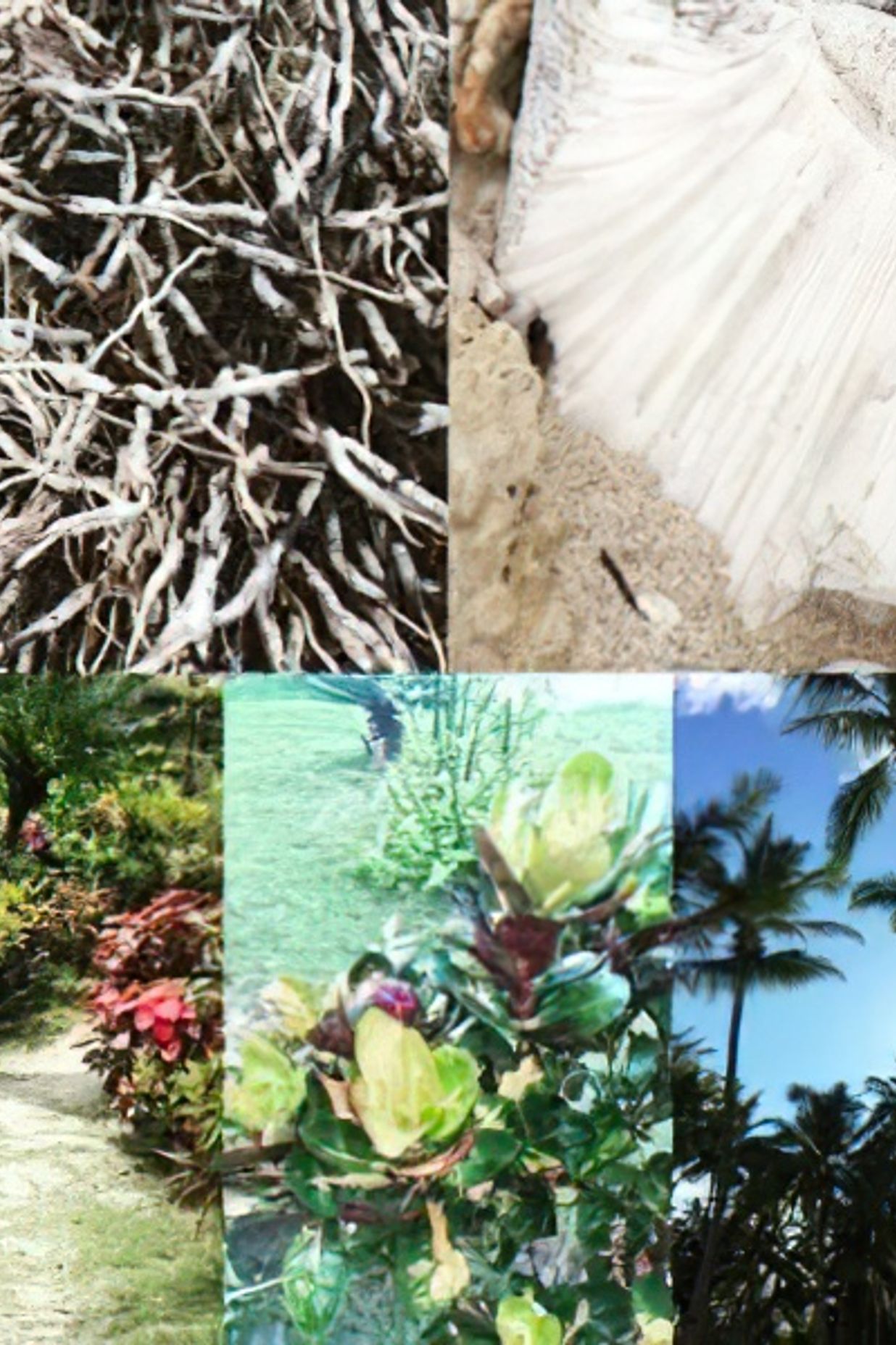 Inspirations for coastal living.