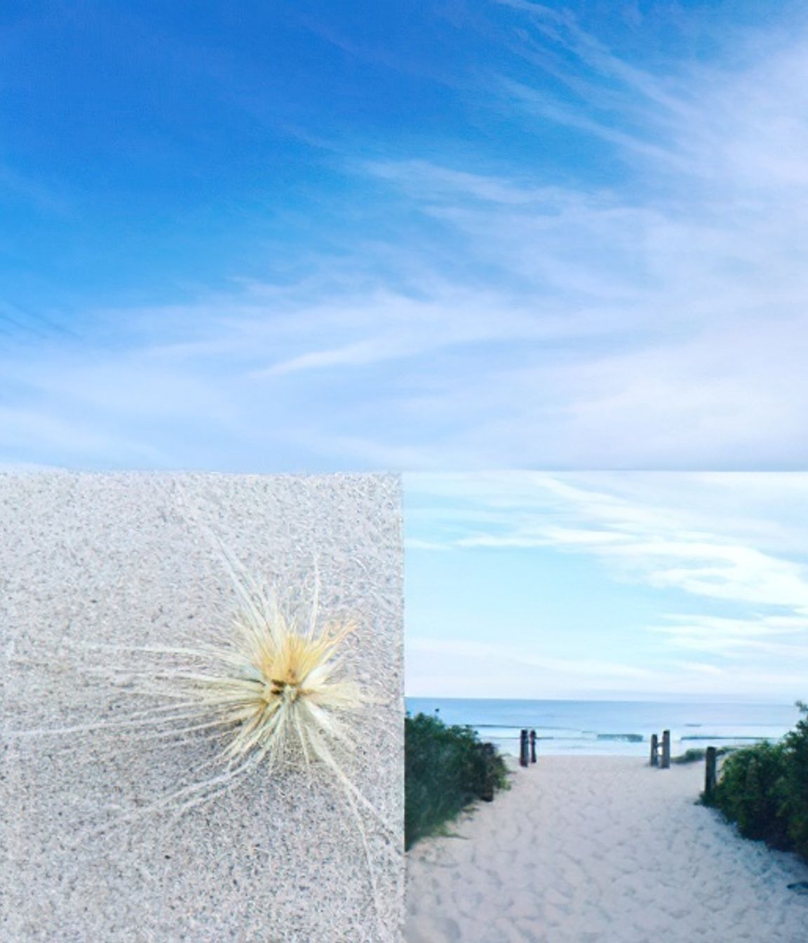 Inspirations for coastal living.
