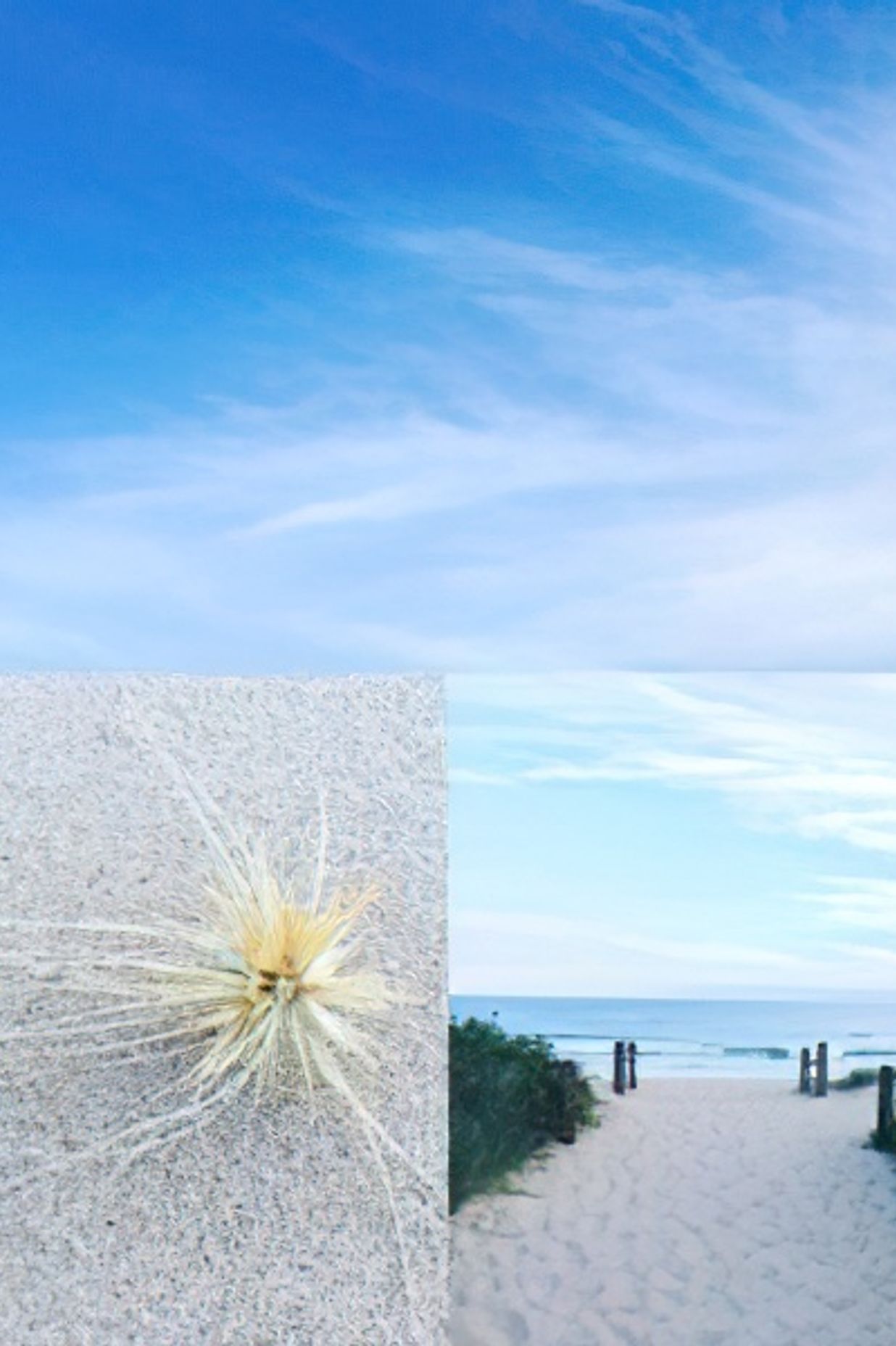 Inspirations for coastal living.