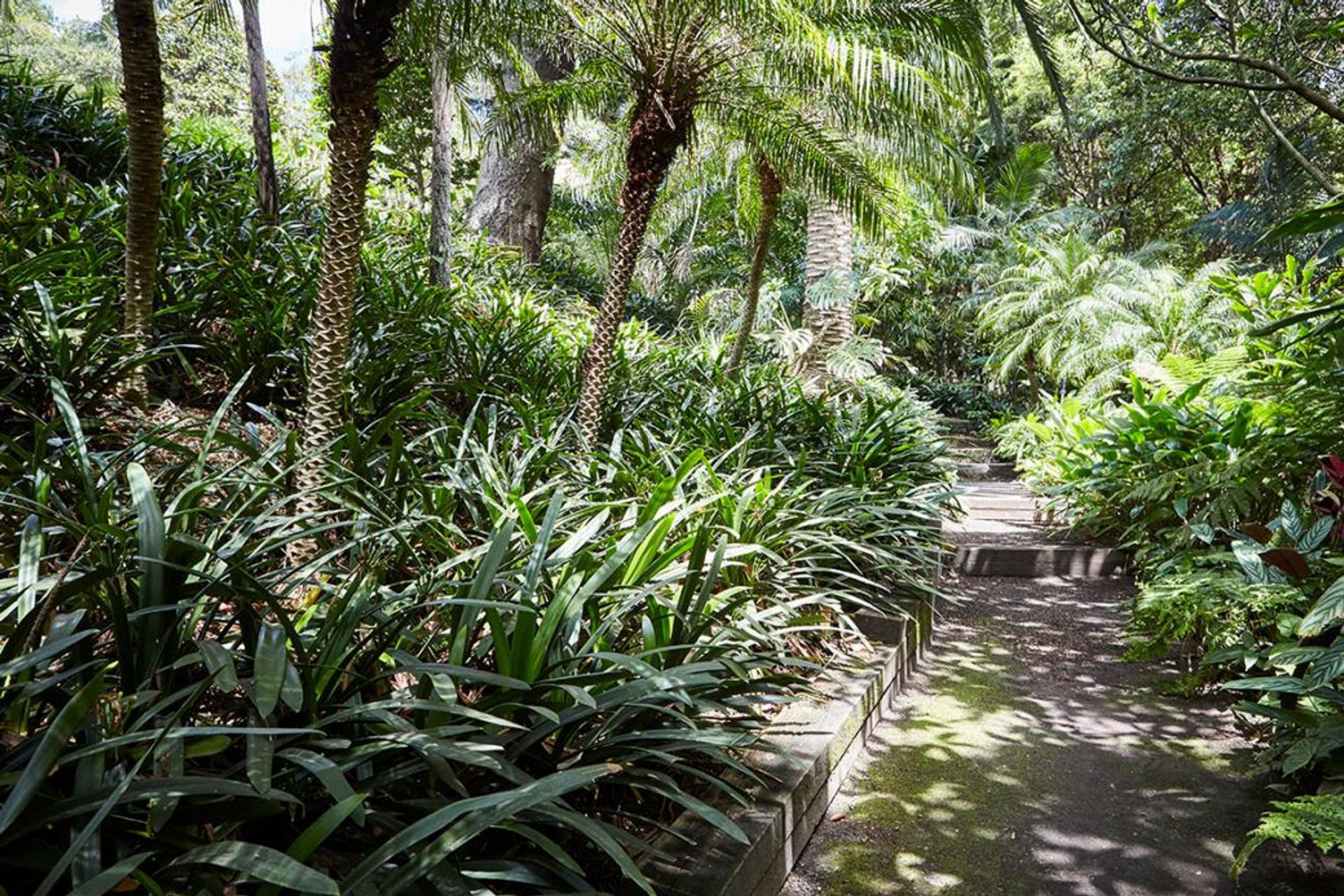 Creating beautiful shade gardens