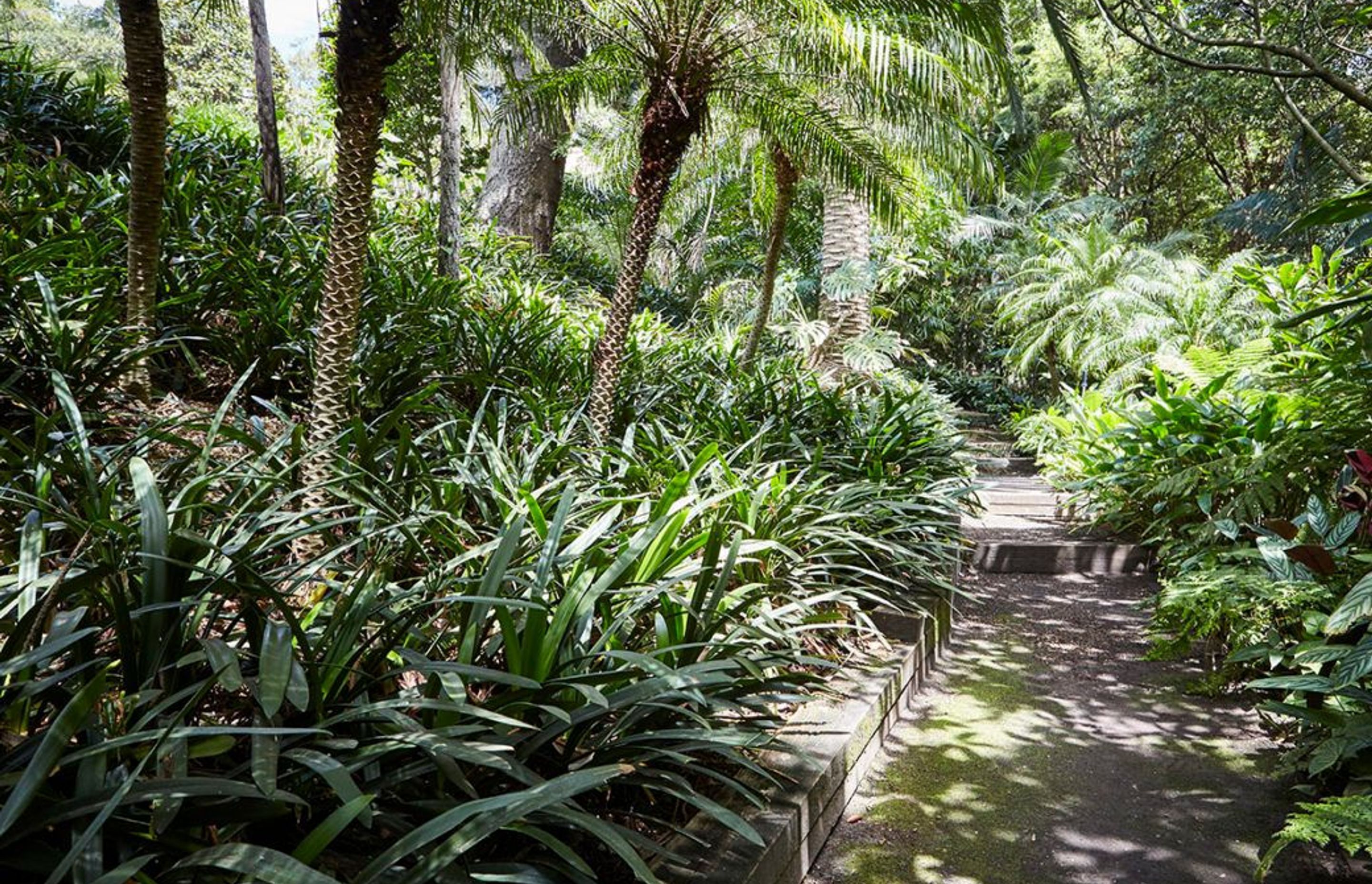 Creating beautiful shade gardens