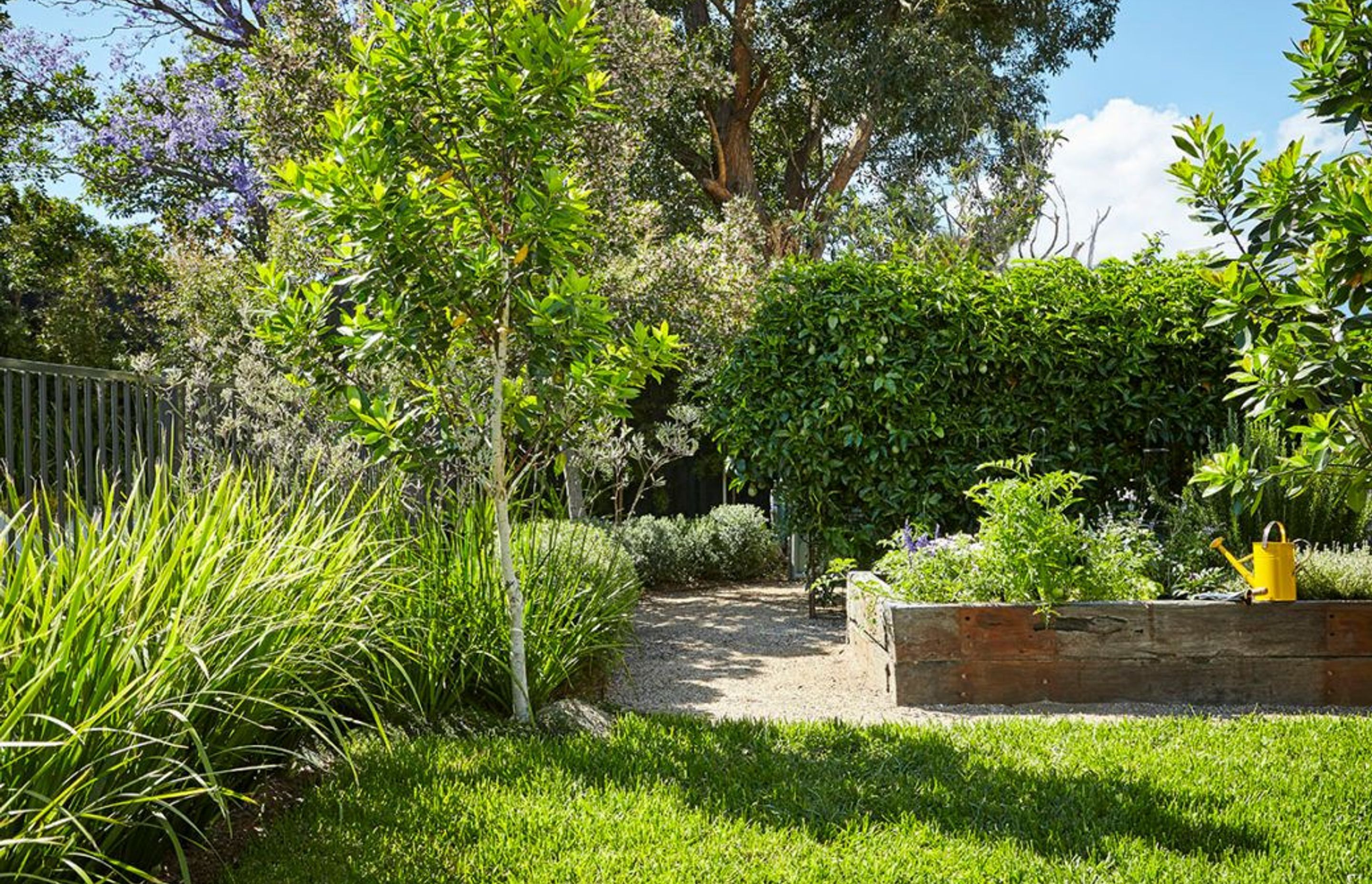 Herb and salad plants in a raised garden bed made of railway sleepers – the Marrickville garden – Pepo Botanic Design.