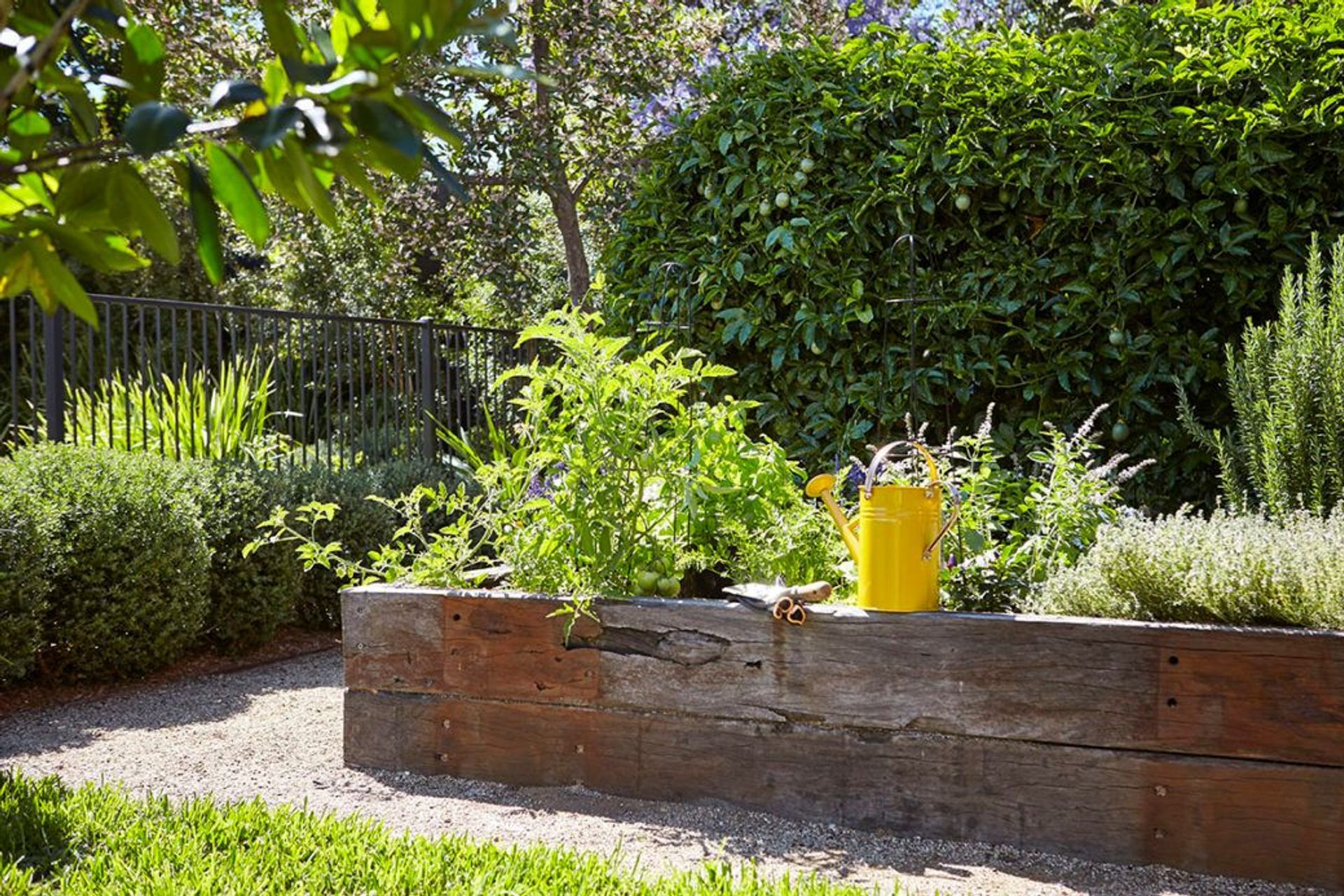 Gardening during Isolation