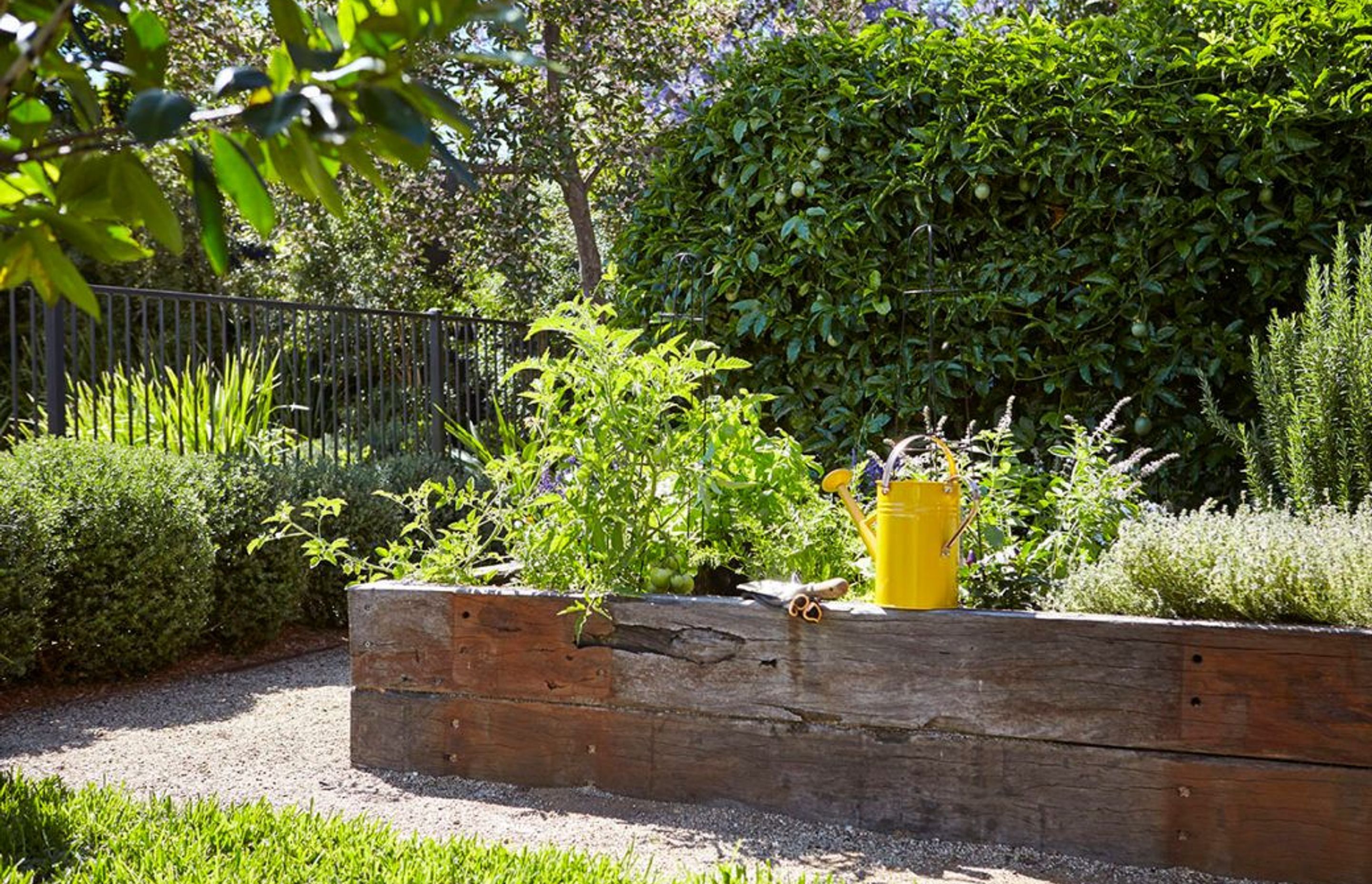 Gardening during Isolation