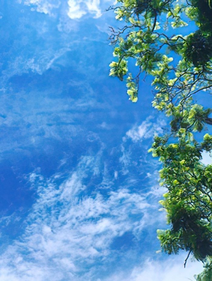 Inspirations for coastal living.