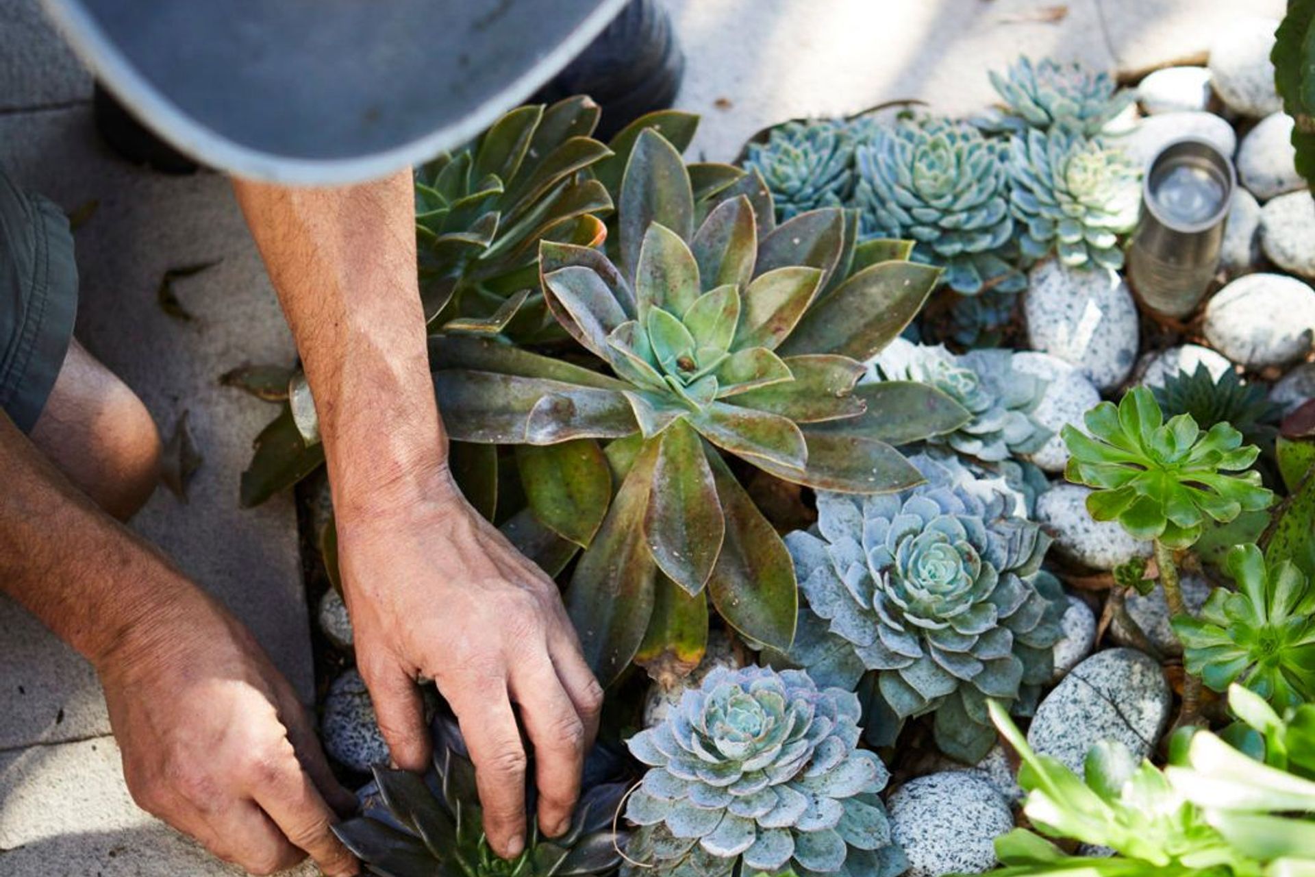 Gardening during Isolation